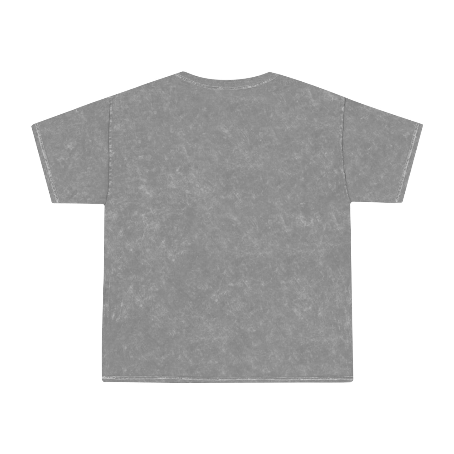 Ofb1t Logo Unisex Mineral Wash T-Shirt